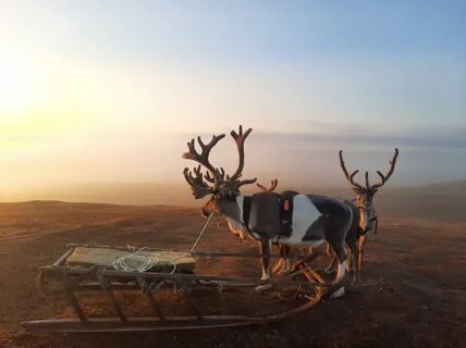 Глаз тундры