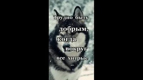 Когда вокруг все не по плану