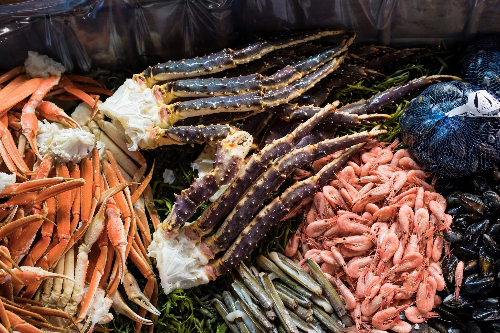Морские продукты. Съедобные морепродукты. Чили морепродукты. Морские продукты съедобные