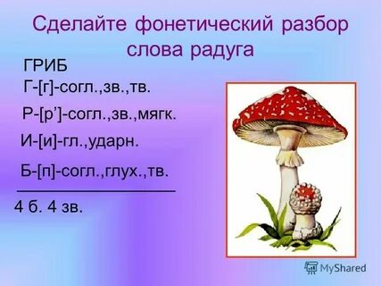 Еж под цифрой 1