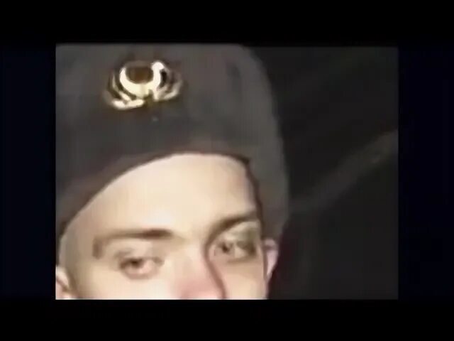 Enjoykin коты. Enjoykin коты