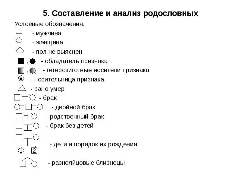 Условные обозначения в генеалогическом древе