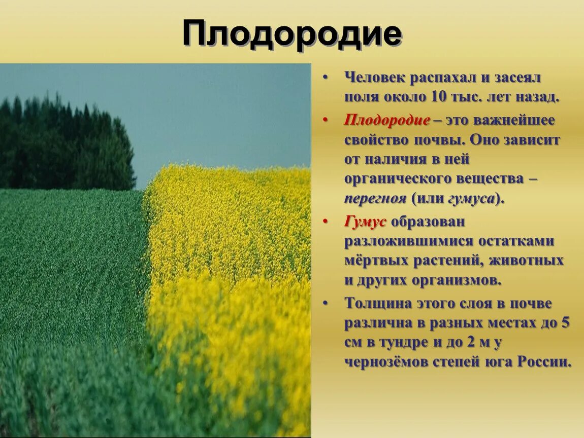 Плодородие зависит от содержания. Земля кормилица презентация. Почва и её плодородие презентация. Плодородие слайд. Пересказ на тему земля кормилица.