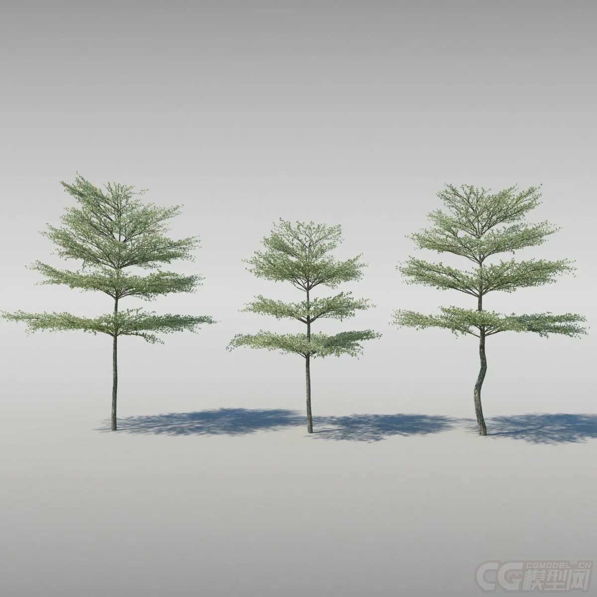 Max tree