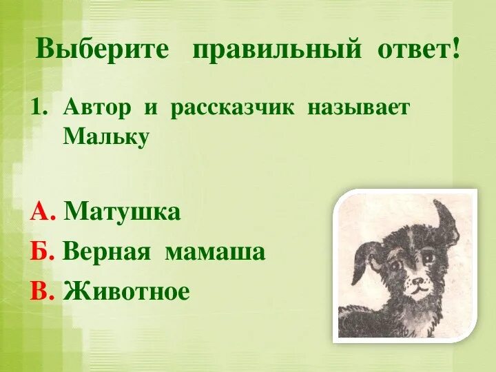 Ещё про мальку план к рассказу 3 класс. План рассказа про мальку 3 класс. Синквейн малька провинилась. План по рассказу малька.