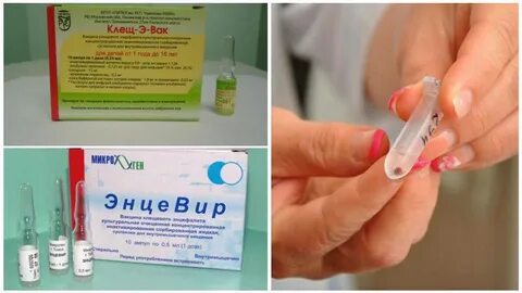 Можно мочить прививку от клеща в плечо