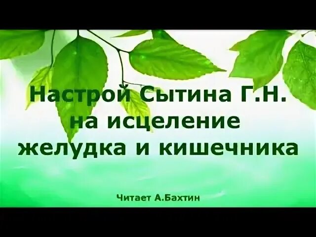 Исцеление желудка