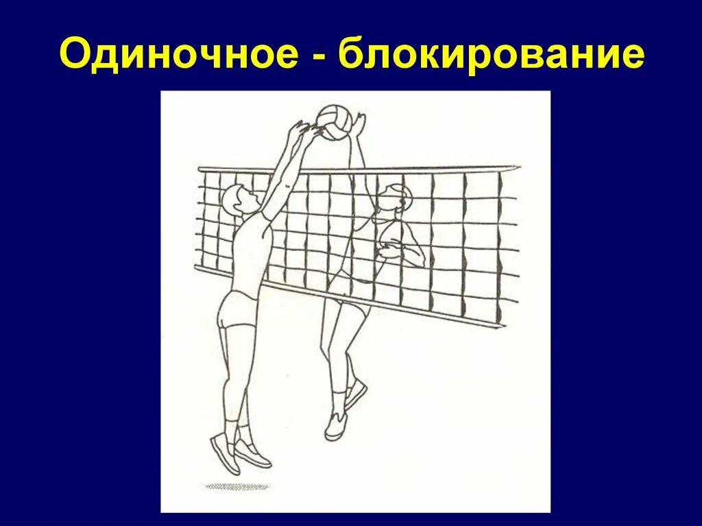 Одиночное блокирование в волейболе. Техника одиночного блокирования в волейболе. Техника выполнения одиночного блокирования в волейболе. Блокирование мяча в волейболе.