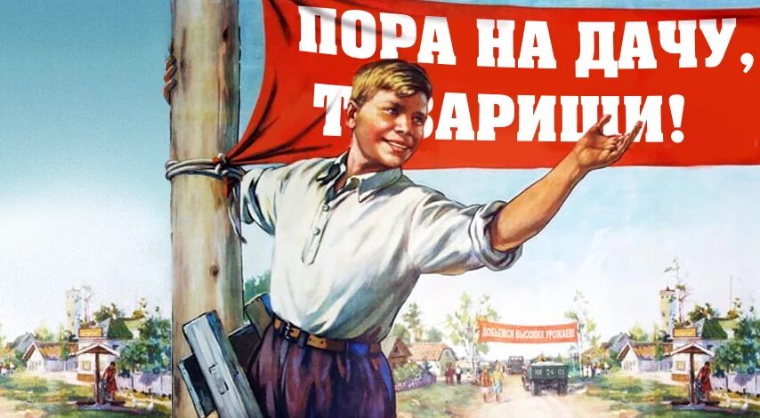 Кошка и ноутбук. Прикольные картинки для веб дизайнеров. Перерыв на работе. Безопасность труда рисунки. Рисунок по охране труда.