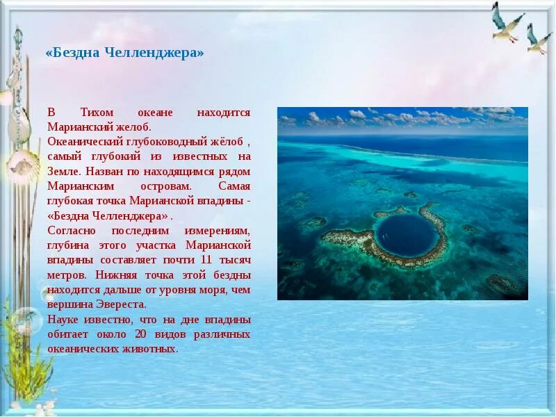 Тихий океан информация. Тихий океан марианская впадина. бездна челленджера. бездна челленджера в марианской впадине. самая глубокая точка океана.