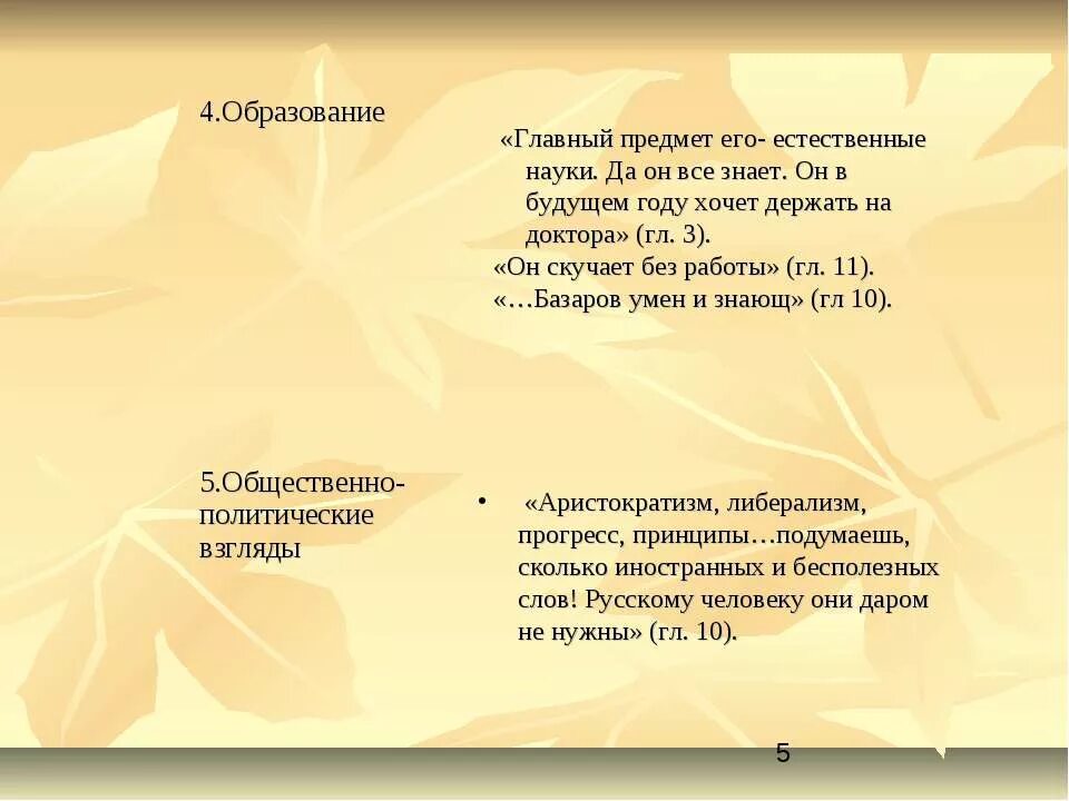 Базаров внешность происхождение воспитание образование.