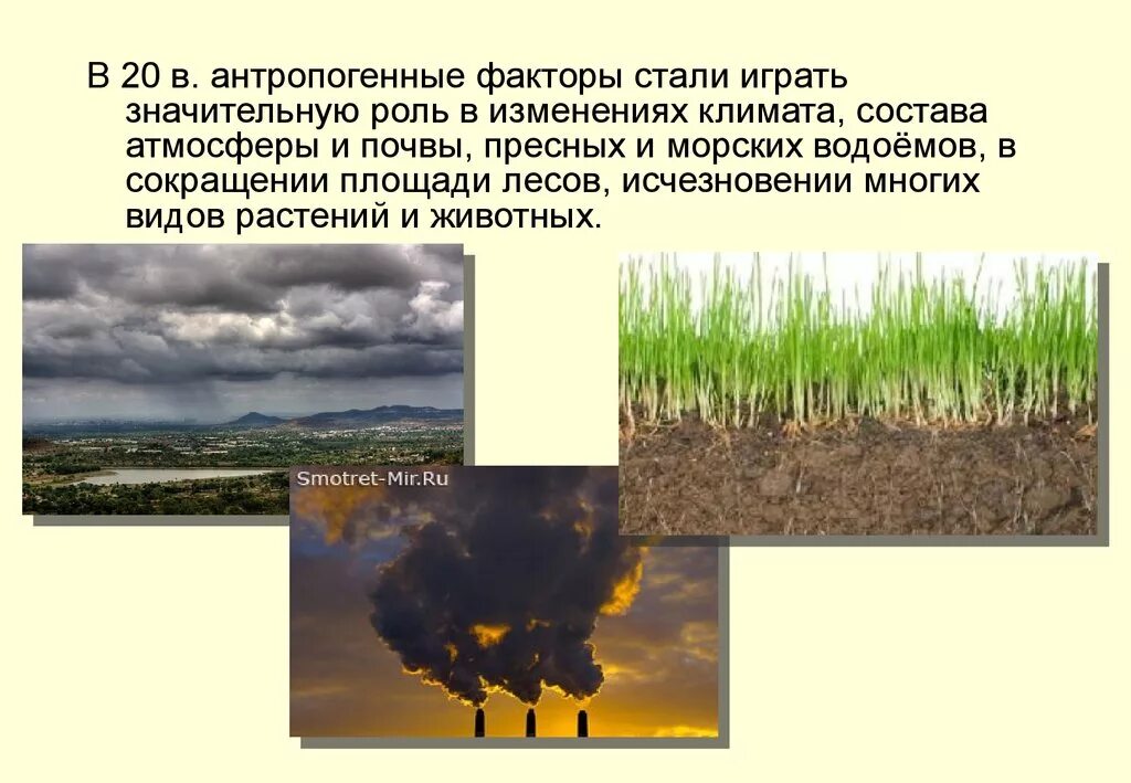 Примеры антропогенного фактора в природе. Антропогенное изменение климата. Антропогенные факторы изменения климата. Антропогенные изменения в природе это. Антропогенное влияние на природу.