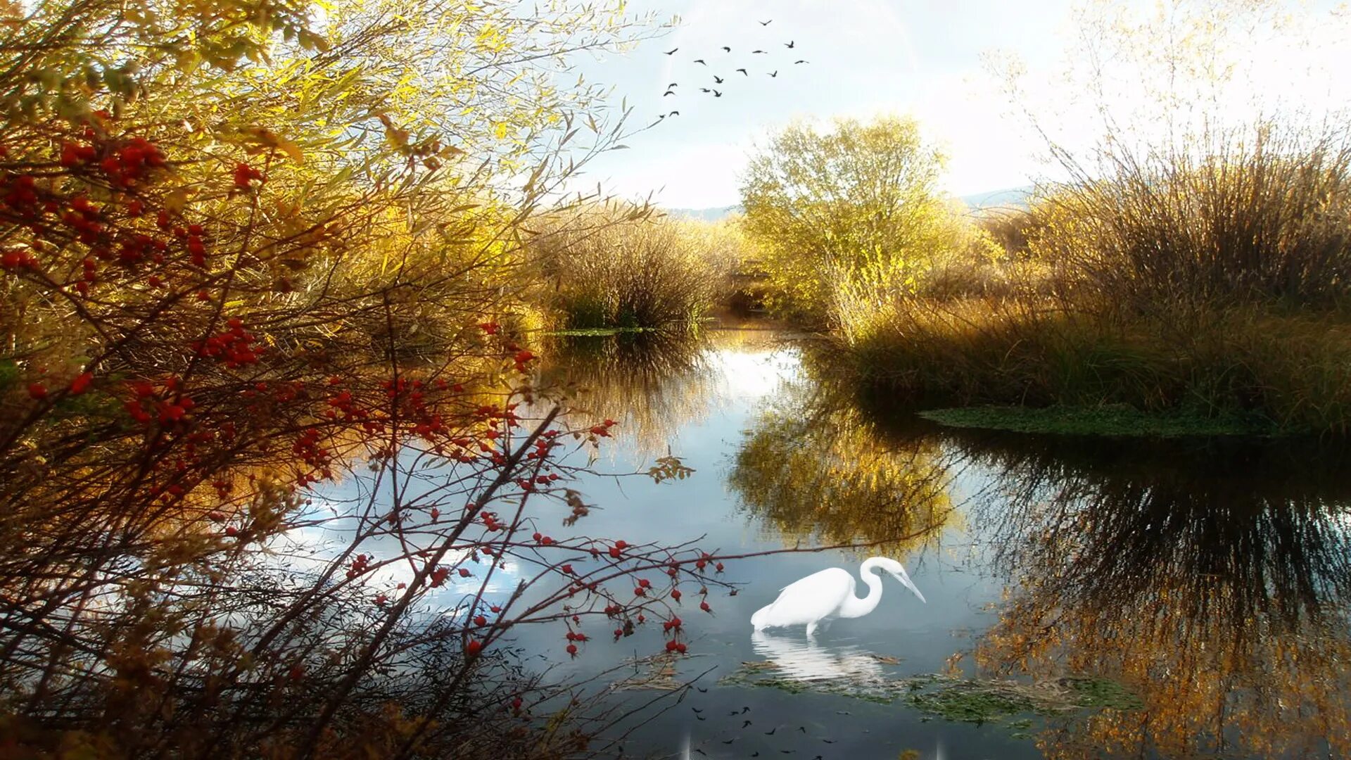 Природа река птицы. Петер мёрк мёнстед весенний пейзаж. Осенний пейзаж с водой. Пейзаж с отражением в воде. Осень озеро.