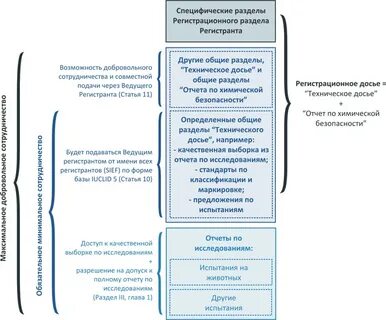 Регистрационное досье