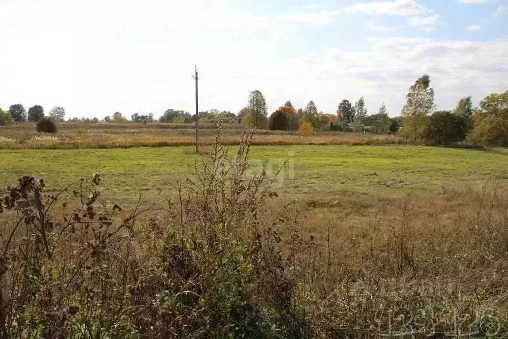 Девица семилукский район. Девица участки. Коттеджный поселок поречье воронеж. Земельный участок воронеж. Ул старосельская девица семилукский район.