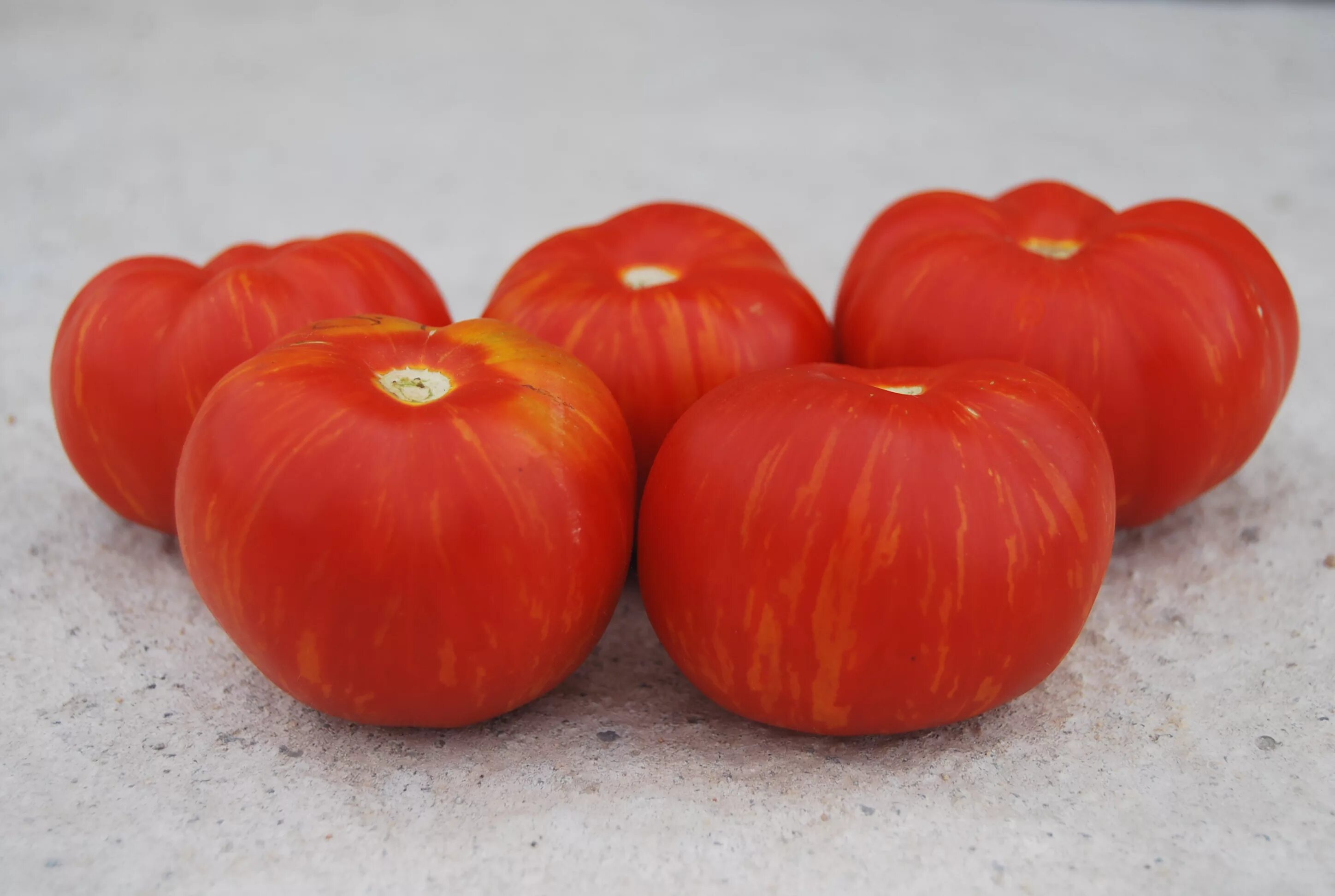 томат полосатые щечки