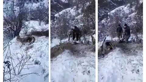 Дагы бир