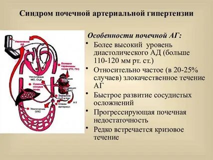 Сердечное давление почечное давление