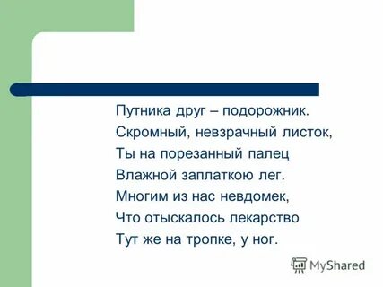 Путник друг