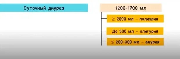 Норма суточного диуреза у взрослых женщин. Суточный объем выделяемой мочи. Суточный объем мочи у взрослых. Нормальный диурез в сутки у взрослого. Норма выделяемой мочи в сутки