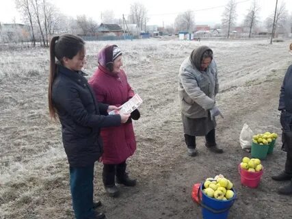 Цивильский опытный
