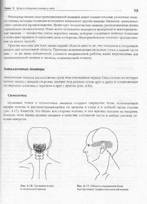 Болит голова в затылочной части. Болит левая затылочная часть головы. Болит голова в затылочной части и шея.