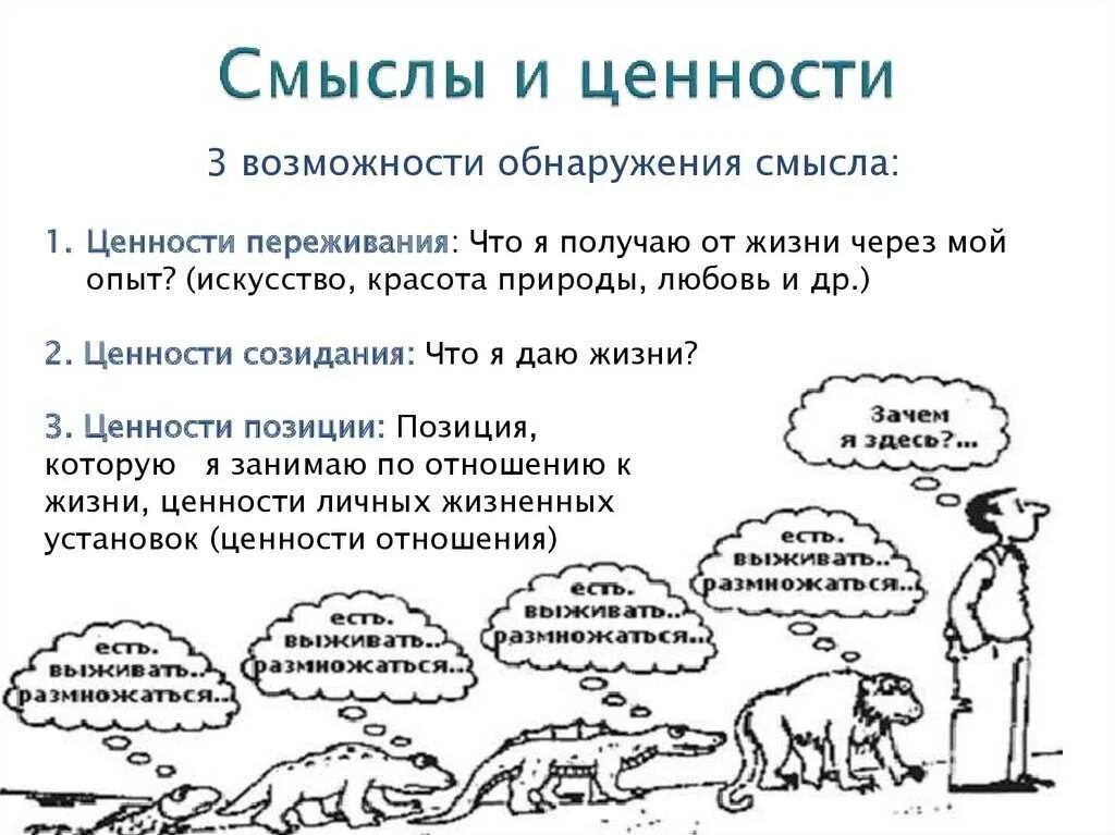 5 смыслов жизни