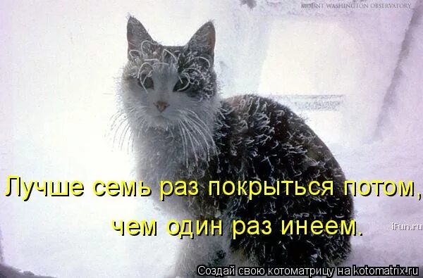 Потное лицо. Колинэргическая крапивниц. Покрываться потом. Покрываться потом. Лучше семь раз покрыться потом чем.