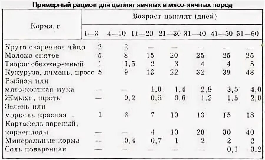 Можно бройлерам давать вареную картошку