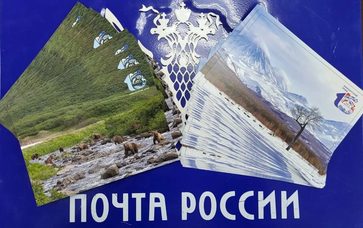 С днем Камчатского края открытка. С днем Камчатского края поздравление. Камчатка почтовые открытки. День Камчатки.