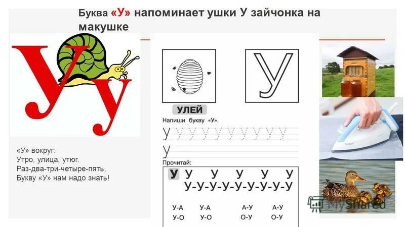 Буква у улитка. На что похожа буква. Буква у напоминает ушки у зайчонка на макушке. Буква и наискосок.