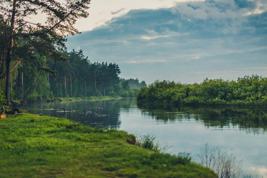 Заповедник мещера. Национальный парк Мещерский Рязань. Мещёрский национальный парк Владимирская область. Нац парк Мещера Владимирская область. Национальный парк Мещера Гусь-Хрустальный.