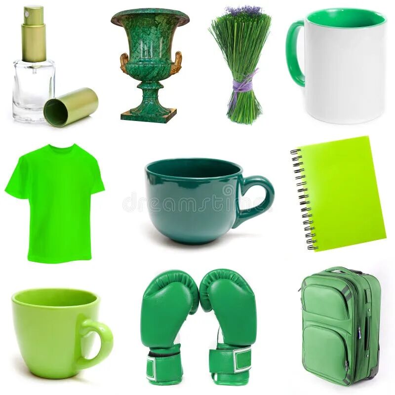 Зеленый это предмет. Темно зеленые предметы. Предметы зеленого цвета. Предметы зеленого цвета. Зеленый это предмет.