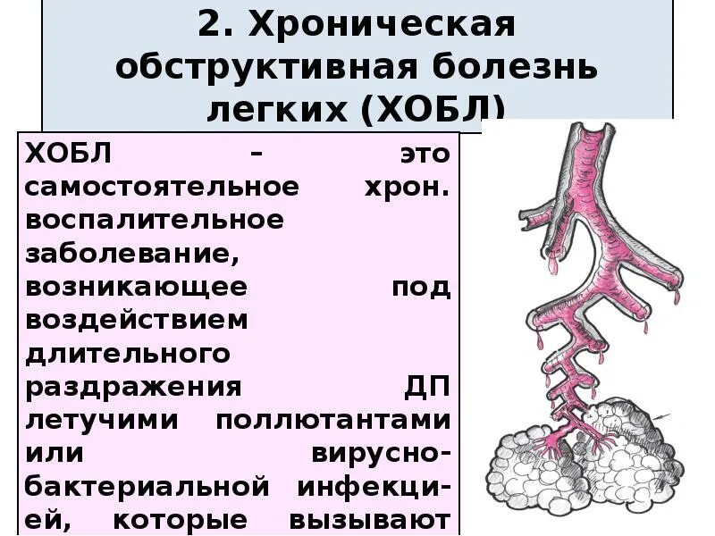 Чем отличается бронхит от. Обструктивный бронхит и хобл. хобл и хронический бронхит. осложнения хобл. хронический обструктивный бронхит и хобл.