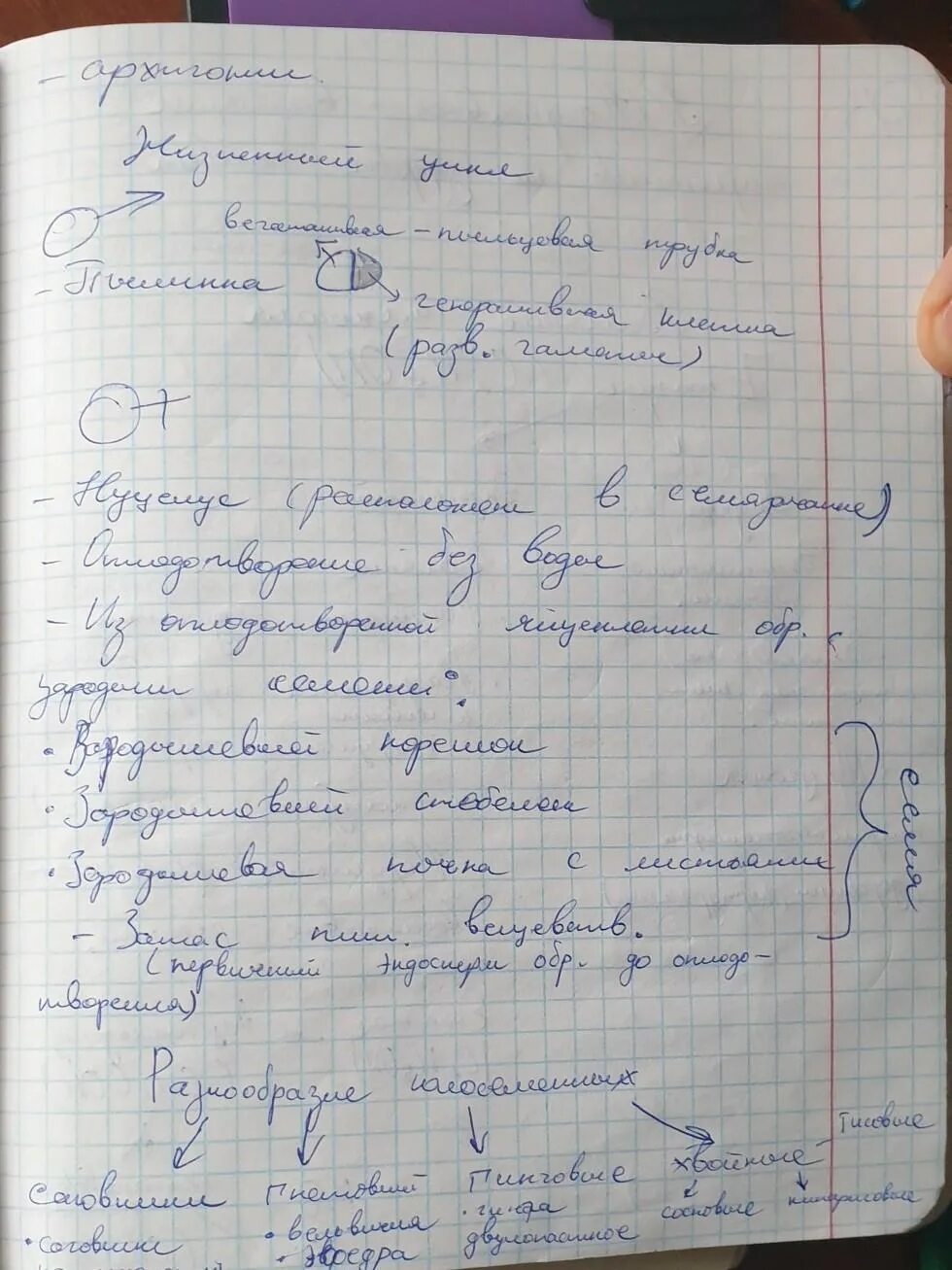 Краткие конспекты по биологии. Конспект по биологии 6 класс Пономарева 23 параграф. Биология 5 класс параграф 23 конспект. Параграф 23 биология 6 класс конспект кратко. История 6 класс параграф 23 краткое содержание