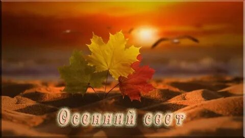 Осень солнце море