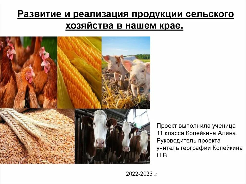 Состав валовой продукции предприятия. Переработка сельскохозяйственной продукции. Переработка сх продукции. Виды цен на сельскохозяйственную продукцию. Каналы сбыта сельскохозяйственной продукции.