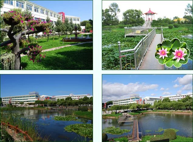 удалянчи китай. путевки удалянчи благовещенск. удалянчи город в китае. путевки удалянчи благовещенск.