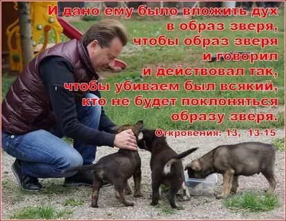 Зоошиза