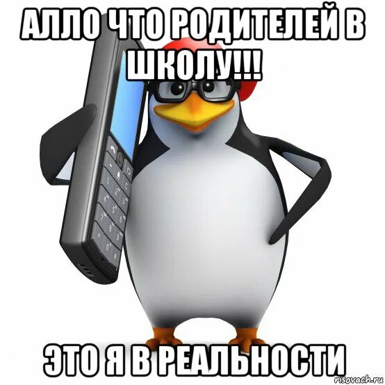 Але где купить. Пингвин Мем. Мемы с пингвинами. Злой Пингвин Мем. Мем Пингвин звонит.