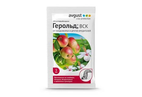 Август партнер