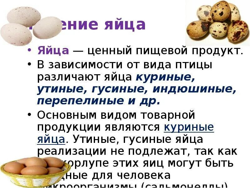 Сколько перепелиных яиц можно взрослому. Презентация яйца и яйцепродукты. Доклад про яйца. Качество яйца куриного. Презентация на тему яйца продукты.