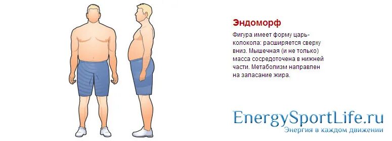 Как похудеть эндоморфу