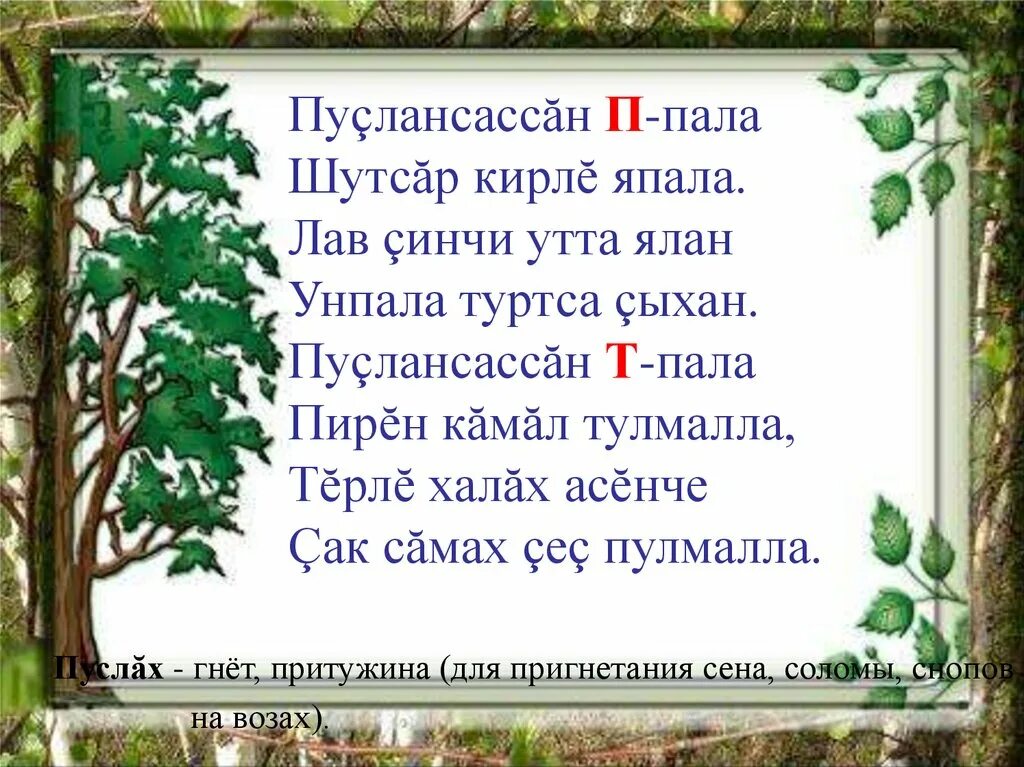 Павшим текст. К какой группе относится береза. Пала. Палып.