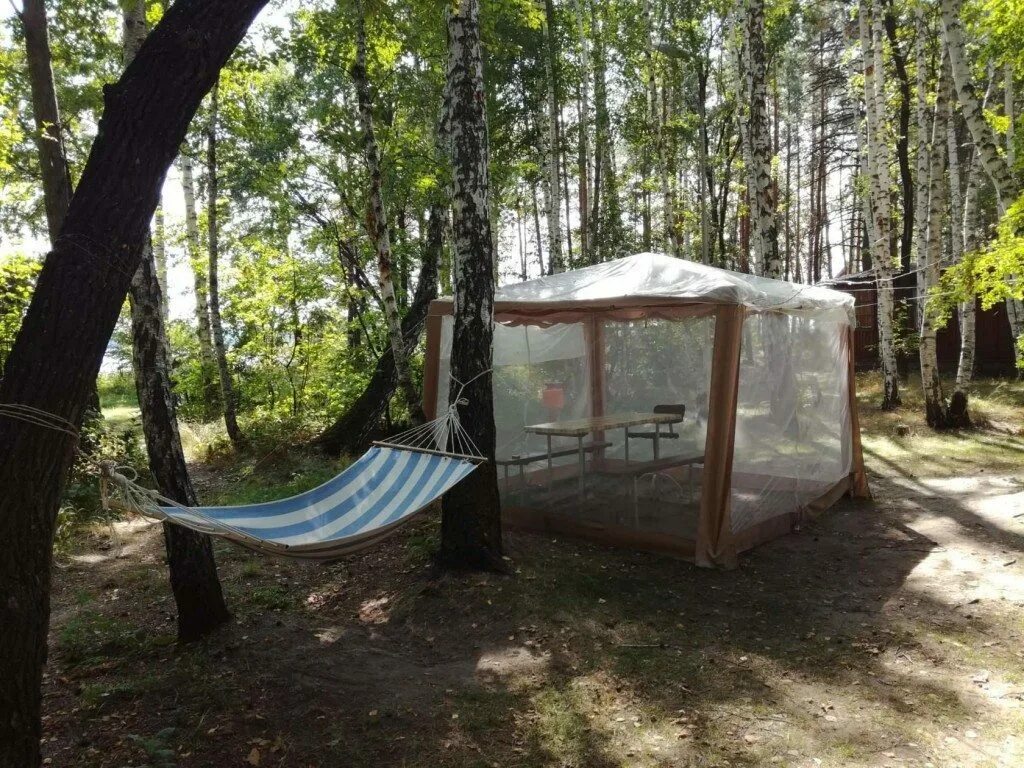 Выходные, 2 дня и 1 ночь на базе отдыха "Тихие зори" на компанию из пяти человек