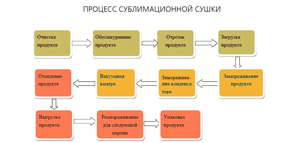 Процесс сублимированной сушки. Сублимационная сушка процесс. Этапы сублимированной сушки. Процесс сублимации продуктов.