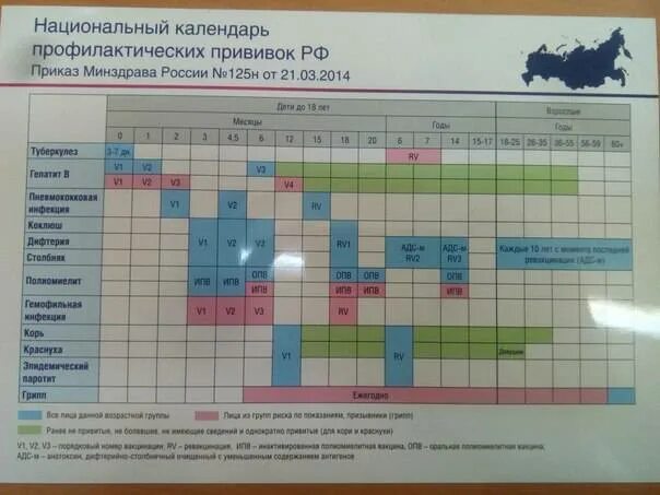 Календарь вакцинации россия. Национальный календарь прививок 2021 Россия. Национальный календарь прививок для детей в России до года. График прививок до года 2022 для детей в России. График прививок для детей до года в России таблица 2021.