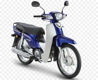 Ex 5 ex 6