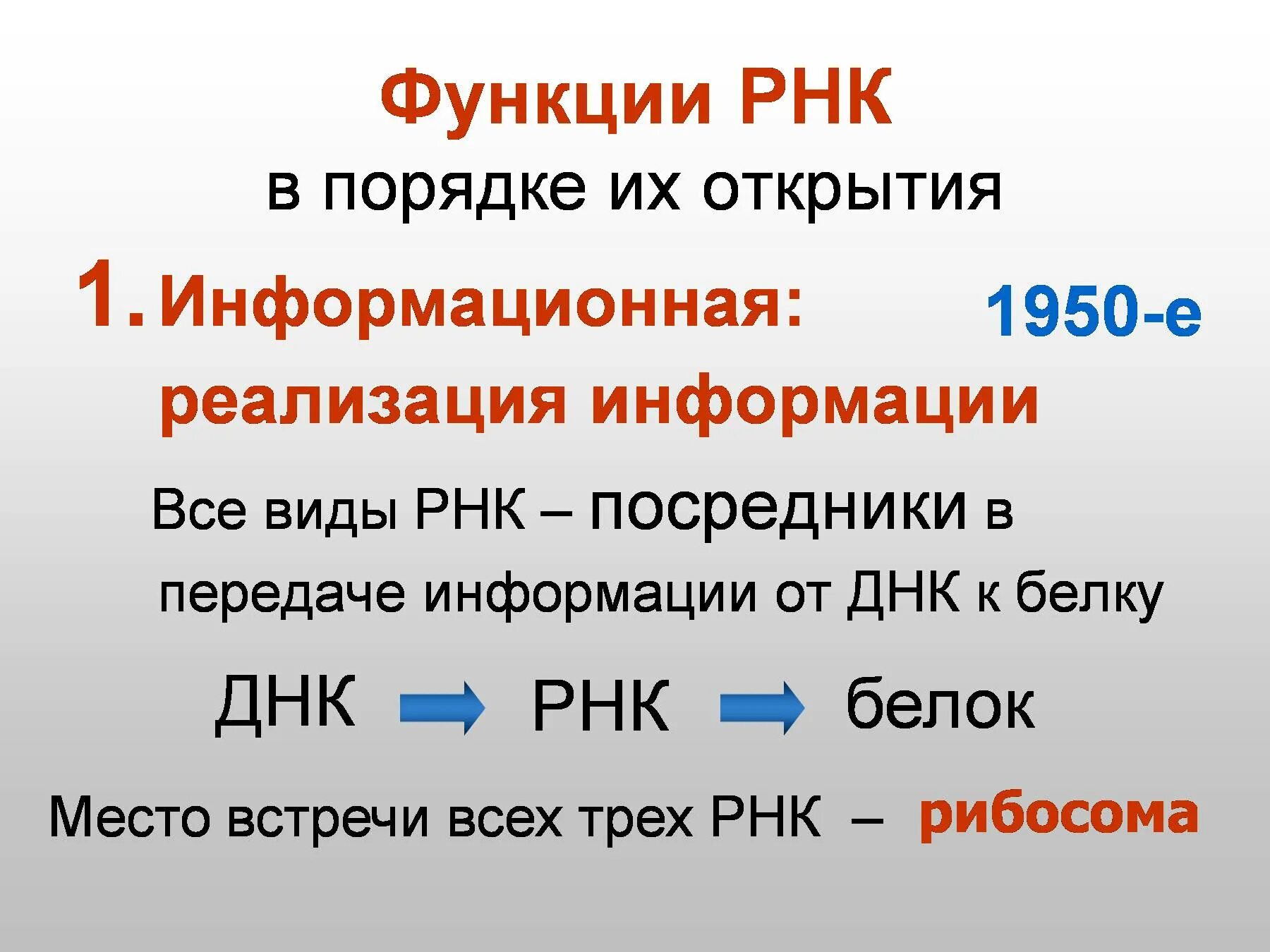 Функции РНК. Типы РНК. Функции информационной РНК.