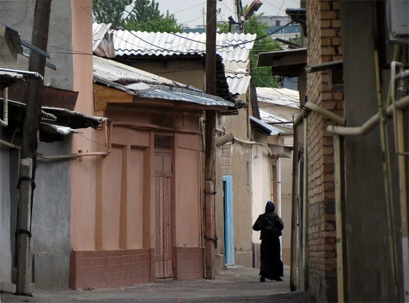 Более сорока махаллей перевели из Ташобласти в столицу - Новости Узбекистана - N